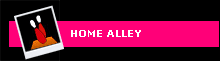 HOME ALLEY
